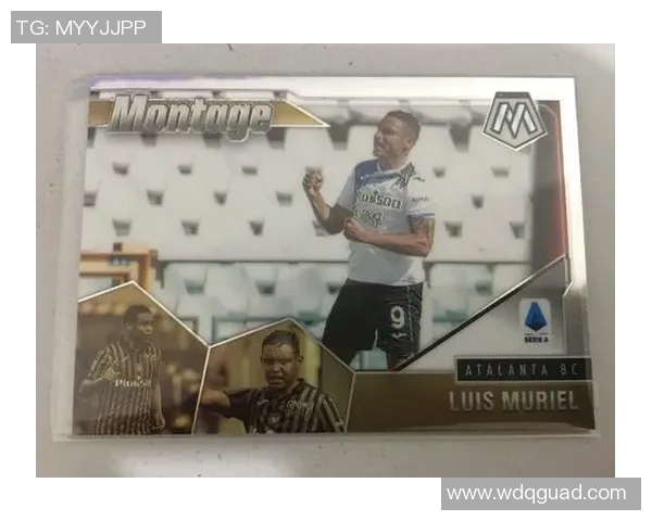 帕尼尼欧洲杯足球星卡全解析:收藏价值与市场趋势分析 帕尼尼欧洲杯足球星卡全解析:收藏价值与市场趋势分析