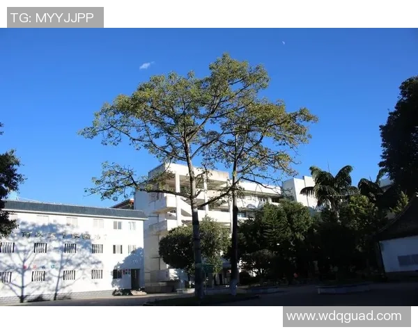 足球明星敬礼表情走红网络展现运动员独特风采与青春活力